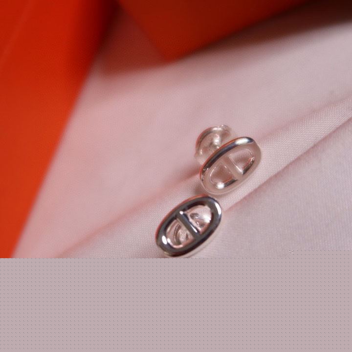 H**mes earrings